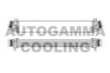 AUTOGAMMA 105639 Intercooler, charger